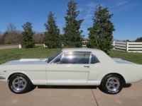 Ford Mustang 1965 GT350 289 - <small></small> 30.000 € <small>TTC</small> - #7