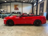 Ford Mustang 2.3 ECOBOOST 2.3 ECOBOOST CABRIOLET BVM - <small></small> 31.000 € <small>TTC</small> - #8