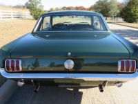 Ford Mustang 289 - <small></small> 31.500 € <small>TTC</small> - #5