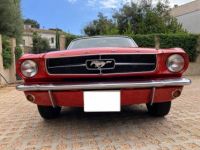 Ford Mustang 289  - <small></small> 21.000 € <small>TTC</small> - #3