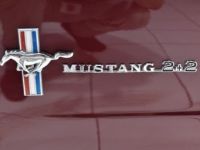 Ford Mustang 289 Ci Fastback - <small></small> 56.900 € <small>TTC</small> - #48