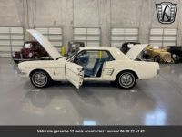 Ford Mustang 289 v8 1966 - <small></small> 26.866 € <small>TTC</small> - #2