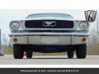 Ford Mustang 289 v8 1966 - <small></small> 30.084 € <small>TTC</small> - #2