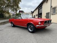 Ford Mustang 289ci V8 Cabriolet - <small></small> 39.900 € <small>TTC</small> - #12