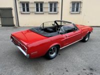 Ford Mustang 289ci V8 Cabriolet - <small></small> 39.900 € <small>TTC</small> - #14