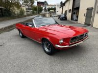 Ford Mustang 289ci V8 Cabriolet - <small></small> 39.900 € <small>TTC</small> - #18