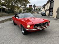 Ford Mustang 289ci V8 Cabriolet - <small></small> 39.900 € <small>TTC</small> - #41