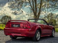 Ford Mustang 3.8i V6 - <small></small> 16.950 € <small>TTC</small> - #6