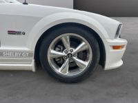 Ford Mustang 4.7 GT SHELBY PONY 'N SNAKE - <small></small> 39.990 € <small>TTC</small> - #15