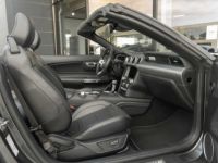 Ford Mustang Cabrio 2.3 EcoBoost SportExhaust EU - <small></small> 39.900 € <small>TTC</small> - #14