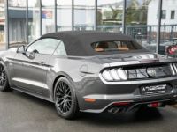 Ford Mustang Cabrio 5.0 V8 GT Aut Navi - <small></small> 47.890 € <small>TTC</small> - #25