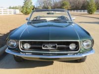 Ford Mustang cabriolet - <small></small> 44.900 € <small>TTC</small> - #16