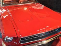 Ford Mustang Cabriolet 1967 - V8 289ci - <small></small> 47.000 € <small>TTC</small> - #18