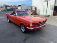 Ford Mustang CABRIOLET 289 CI V8 POPY RED 1965 - <small></small> 49.900 € <small>TTC</small> - #3