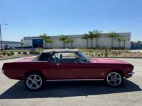 Ford Mustang CABRIOLET CODE C 289CI V8 ROUGE 1966 - <small></small> 49.900 € <small>TTC</small> - #3