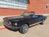 Ford Mustang cabriolet v8 - <small></small> 44.900 € <small>TTC</small> - #16