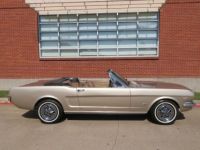 Ford Mustang CABRIOLET V8 PONY - <small></small> 32.410 € <small>TTC</small> - #17