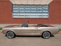 Ford Mustang CABRIOLET V8 PONY - <small></small> 32.410 € <small>TTC</small> - #32