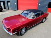 Ford Mustang Code A 1965 V8 289ci - <small></small> 34.490 € <small>TTC</small> - #8