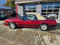 Ford Mustang convertible  - <small></small> 22.000 € <small>TTC</small> - #8