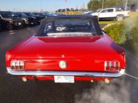 Ford Mustang CONVERTIBLE 1966 V8 4,7L - <small></small> 54.900 € <small>TTC</small> - #6