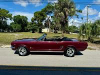 Ford Mustang Convertible 289cu 4.7L V8 - <small></small> 44.290 € <small>TTC</small> - #3