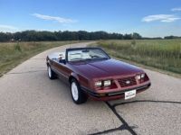 Ford Mustang convertible lx  - <small></small> 20.000 € <small>TTC</small> - #19