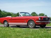 Ford Mustang Convertible SYLC EXPORT - <small></small> 39.990 € <small>TTC</small> - #1