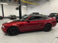 Ford Mustang Convertible V8 BVA CABRIOLET V8 ROUGE BORDEAUX - BVA - CAMERA - ECHAPPEMENT INOX - COLLECTEUR - ARBRES A CAMES - KIT GROS FREINS BREMBO - - <small></small> 29.990 € <small>TTC</small> - #17