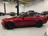 Ford Mustang Convertible V8 BVA CABRIOLET V8 ROUGE BORDEAUX - BVA - CAMERA - ECHAPPEMENT INOX - COLLECTEUR - ARBRES A CAMES - KIT GROS FREINS BREMBO - - <small></small> 29.990 € <small>TTC</small> - #18