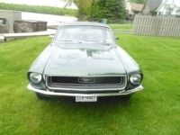 Ford Mustang coupe  - <small></small> 36.000 € <small>TTC</small> - #1