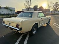 Ford Mustang COUPE 1966 CODE A BOITE MECA 4 - <small></small> 39.900 € <small>TTC</small> - #3