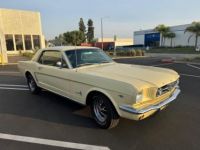 Ford Mustang COUPE 1966 CODE A BOITE MECA 4 - <small></small> 39.900 € <small>TTC</small> - #4