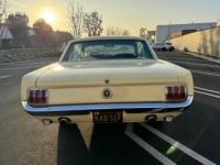 Ford Mustang COUPE 1966 CODE A BOITE MECA 4 - <small></small> 39.900 € <small>TTC</small> - #13