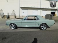 Ford Mustang COUPE 1966 dossier complet au 0651552080 - <small></small> 41.900 € <small>TTC</small> - #3