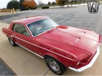 Ford Mustang COUPE 1967 - <small></small> 43.900 € <small>TTC</small> - #3