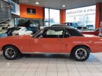 Ford Mustang COUPE TOIT VINYLE CORAIL 289CI V8 - <small></small> 39.900 € <small>TTC</small> - #10