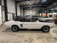 Ford Mustang COUPE V8 TOIT VINYL - <small></small> 43.000 € <small>TTC</small> - #10