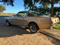 Ford Mustang fastback  - <small></small> 62.000 € <small>TTC</small> - #2