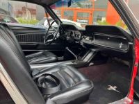 Ford Mustang FASTBACK 289 CI V8 ROUGE 1965 BOITE MECA - <small></small> 64.900 € <small>TTC</small> - #18