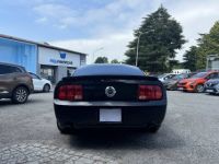 Ford Mustang Fastback 4.6 V8 *Etat concours* - <small></small> 37.990 € <small>TTC</small> - #6