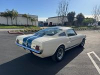 Ford Mustang FASTBACK CLONE GT 350 1965 - <small></small> 74.000 € <small>TTC</small> - #2