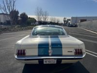 Ford Mustang FASTBACK CLONE GT 350 1965 - <small></small> 74.000 € <small>TTC</small> - #5