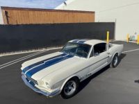 Ford Mustang FASTBACK CLONE GT 350 1965 - <small></small> 74.000 € <small>TTC</small> - #8