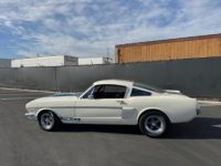 Ford Mustang FASTBACK CLONE GT 350 1965 - <small></small> 74.000 € <small>TTC</small> - #9