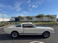 Ford Mustang FASTBACK CLONE GT 350 1965 - <small></small> 74.000 € <small>TTC</small> - #14