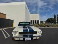 Ford Mustang FASTBACK CLONE GT 350 1965 - <small></small> 74.000 € <small>TTC</small> - #15