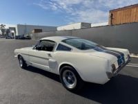 Ford Mustang FASTBACK CLONE GT 350 1965 - <small></small> 74.000 € <small>TTC</small> - #18