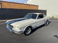 Ford Mustang FASTBACK CLONE GT 350 1965 - <small></small> 74.000 € <small>TTC</small> - #21