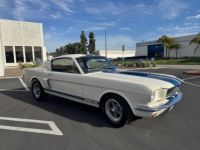 Ford Mustang FASTBACK CLONE GT 350 1965 - <small></small> 74.000 € <small>TTC</small> - #22